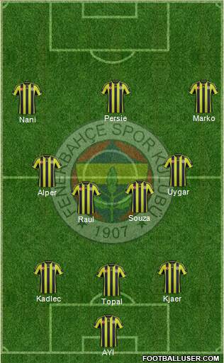 Fenerbahçe SK Formation 2015