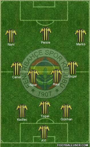 Fenerbahçe SK Formation 2015