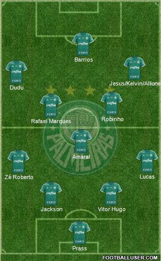 SE Palmeiras Formation 2015