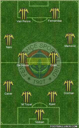 Fenerbahçe SK Formation 2015