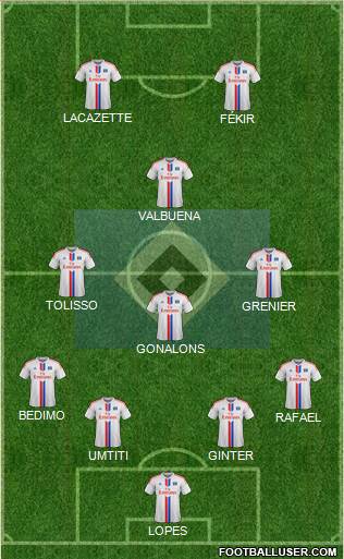 Hamburger SV Formation 2015
