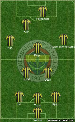 Fenerbahçe SK Formation 2015