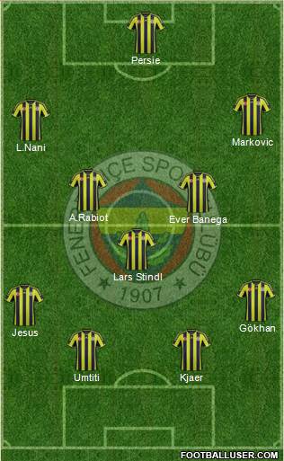 Fenerbahçe SK Formation 2015