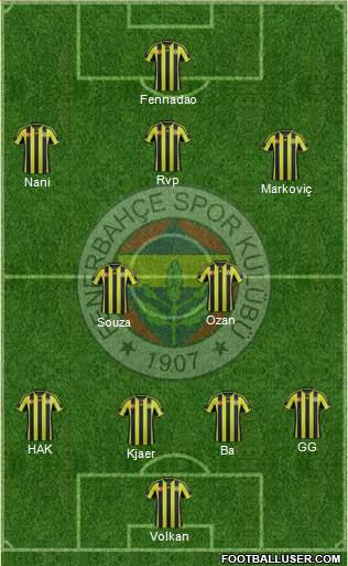 Fenerbahçe SK Formation 2015