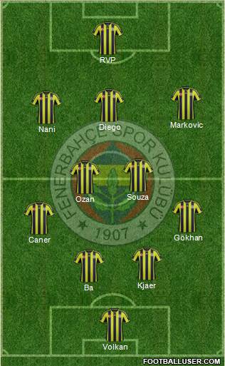 Fenerbahçe SK Formation 2015