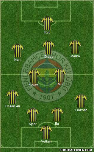 Fenerbahçe SK Formation 2015