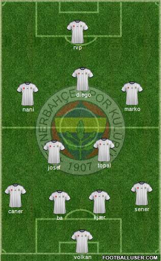 Fenerbahçe SK Formation 2015
