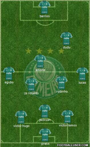 SE Palmeiras Formation 2015