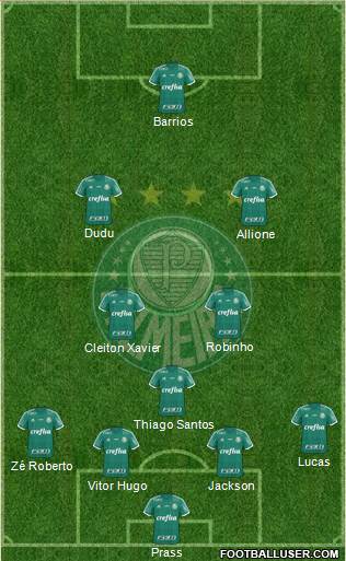 SE Palmeiras Formation 2015