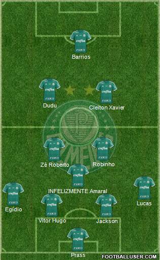 SE Palmeiras Formation 2015