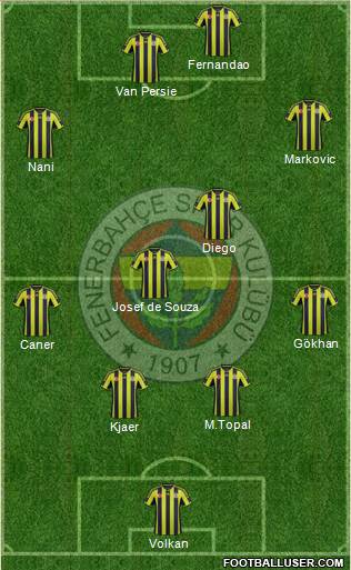 Fenerbahçe SK Formation 2015