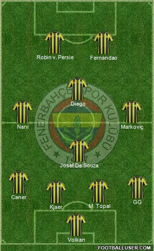 Fenerbahçe SK Formation 2015