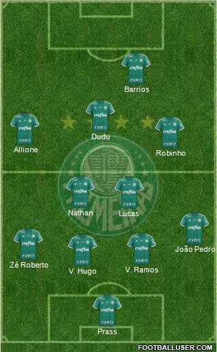 SE Palmeiras Formation 2015