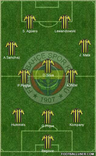 Fenerbahçe SK Formation 2015