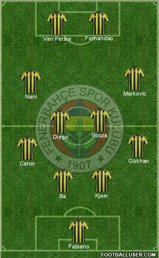 Fenerbahçe SK Formation 2015