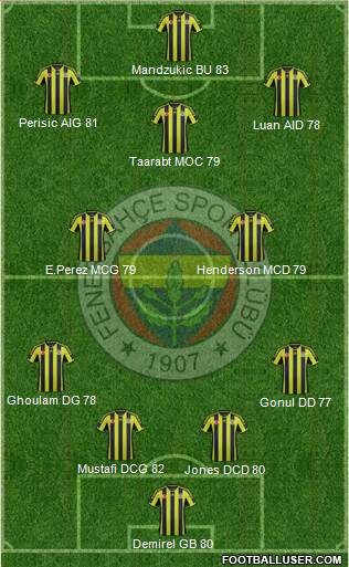 Fenerbahçe SK Formation 2015