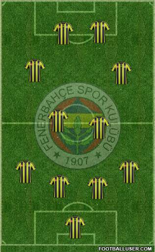 Fenerbahçe SK Formation 2015