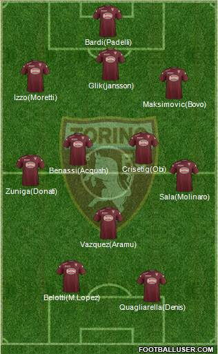 Torino Formation 2015
