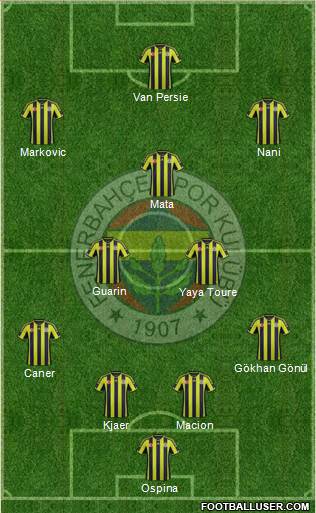 Fenerbahçe SK Formation 2015
