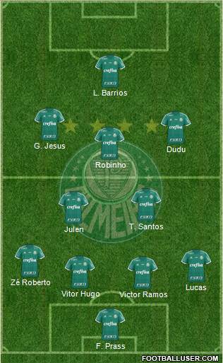 SE Palmeiras Formation 2015