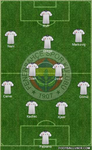 Fenerbahçe SK Formation 2015