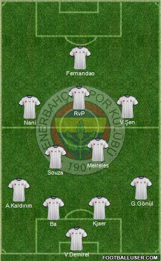 Fenerbahçe SK Formation 2015