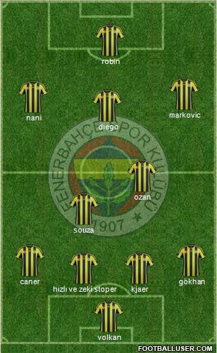 Fenerbahçe SK Formation 2015