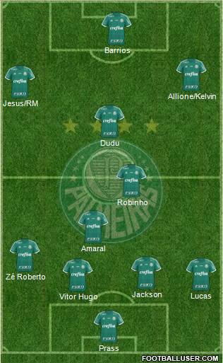 SE Palmeiras Formation 2015