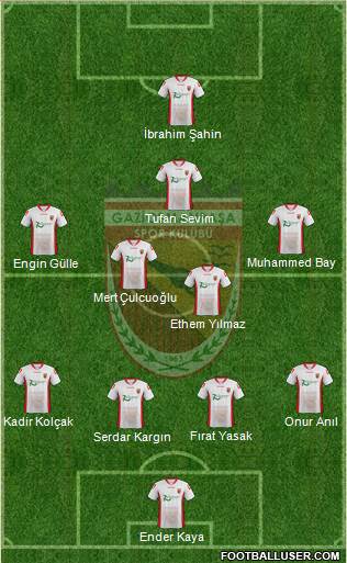 Gaziosmanpasa Formation 2015