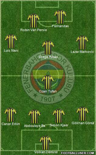 Fenerbahçe SK Formation 2015