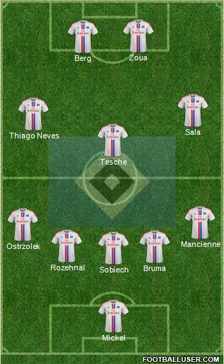 Hamburger SV Formation 2015
