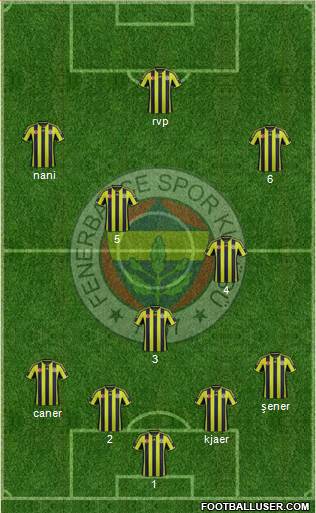 Fenerbahçe SK Formation 2015
