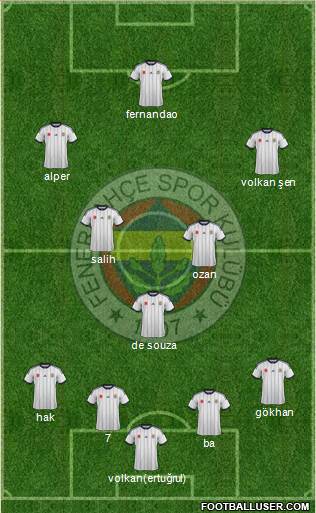 Fenerbahçe SK Formation 2015