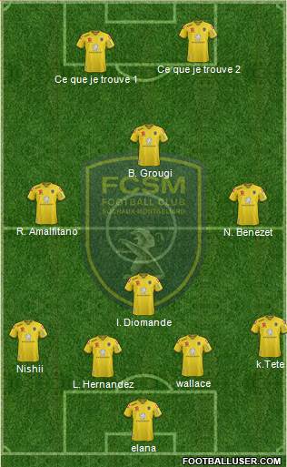 FC Sochaux-Montbéliard Formation 2015