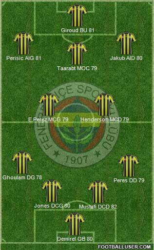 Fenerbahçe SK Formation 2015