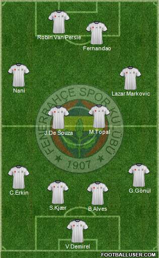 Fenerbahçe SK Formation 2015