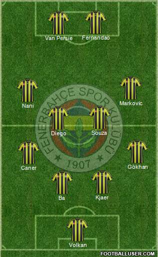 Fenerbahçe SK Formation 2015