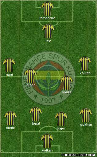 Fenerbahçe SK Formation 2015