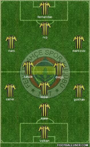 Fenerbahçe SK Formation 2015