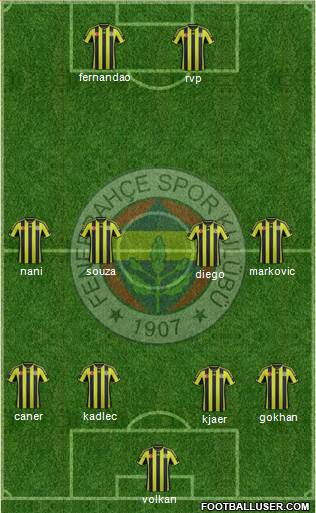 Fenerbahçe SK Formation 2015