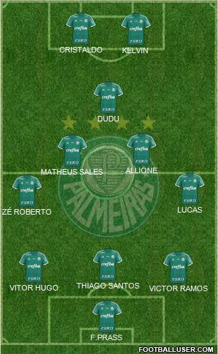 SE Palmeiras Formation 2015
