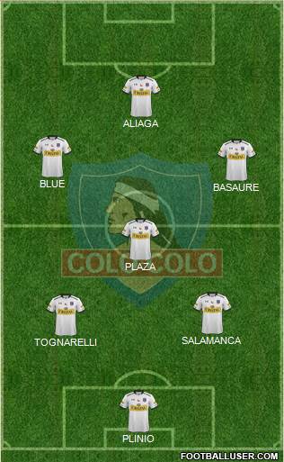 CSD Colo Colo Formation 2015