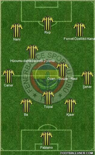 Fenerbahçe SK Formation 2015