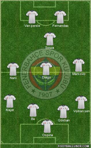 Fenerbahçe SK Formation 2015