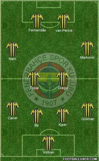 Fenerbahçe SK Formation 2015