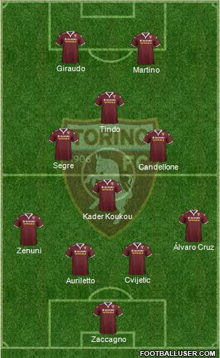 Torino Formation 2015