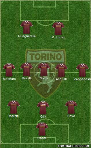 Torino Formation 2015