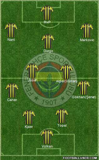 Fenerbahçe SK Formation 2015