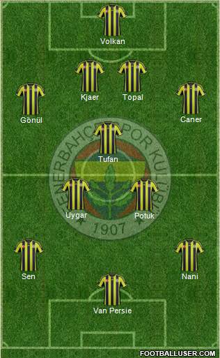 Fenerbahçe SK Formation 2015