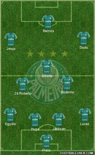 SE Palmeiras Formation 2015